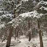 Valmont In Center 韦尔比耶