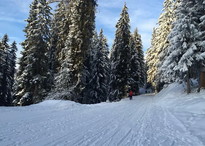 Valmont In Center Apartman Verbier